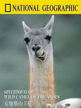 国家地理百年纪念典藏：安地斯山羊驼