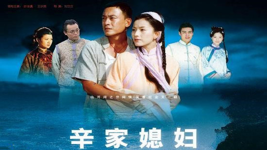 辛家媳妇（2007年电视剧）