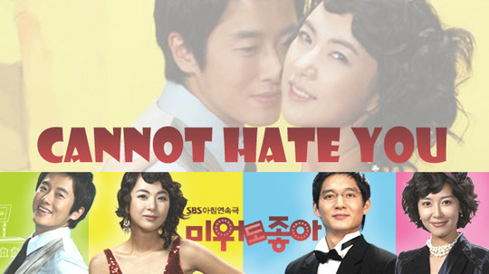 讨厌也喜欢（2007年电视剧）