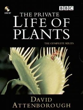 植物私生活
