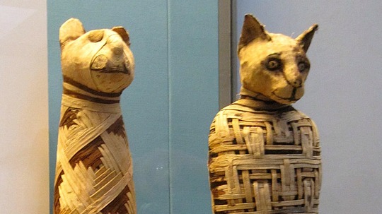 宠物木乃伊（0年电视剧）