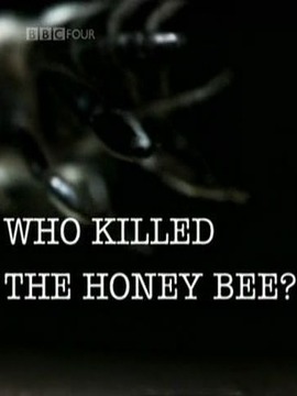 谁杀死了我们的蜜蜂
