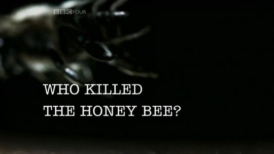 谁杀死了我们的蜜蜂（2009年电视剧）
