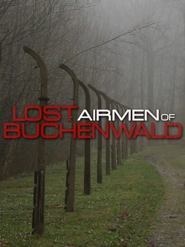 集中营里的飞行员们