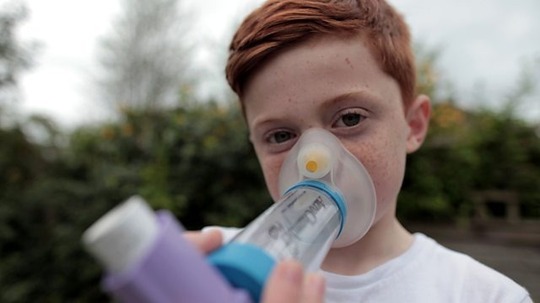 地平线系列：过敏世界（2008年电视剧）