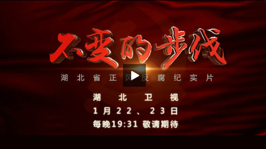 不变的步伐（2016年电视剧）