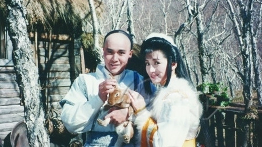 雪山飞狐（1991年电视剧）