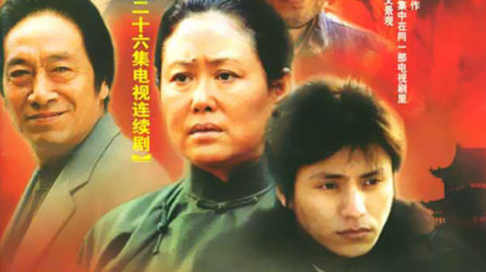 中国故事（2004年电视剧）