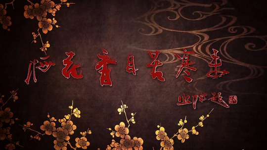 梅花香自苦寒来（2016年电视剧）