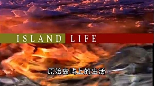 原始岛屿上的生活（2016年电视剧）