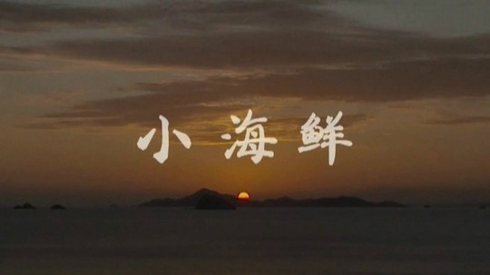 小海鲜（2016年电视剧）
