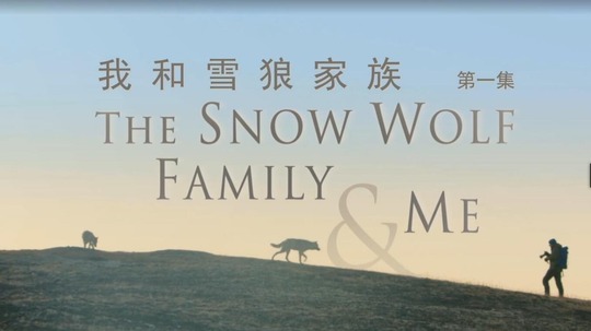 我和雪狼家族（2014年电视剧）