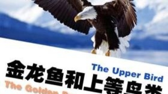 金龙鱼和上等鸟类（0年电视剧）