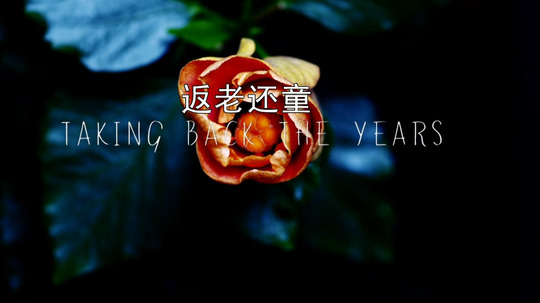 返老还童（2015年电视剧）