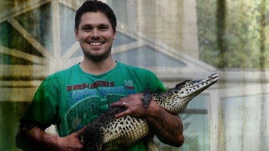 与鳄鱼共舞（2011年电视剧）