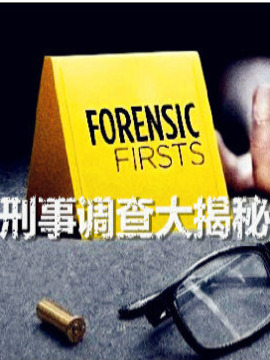 刑事调查大揭秘