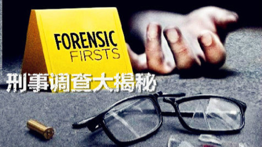刑事调查大揭秘（2015年电视剧）