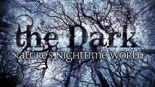 窥探生物（2004年电视剧）