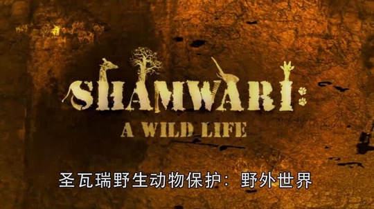 圣瓦瑞野生动物保护：野外世界（2014年电视剧）