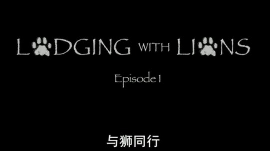 与狮同行（2016年电视剧）