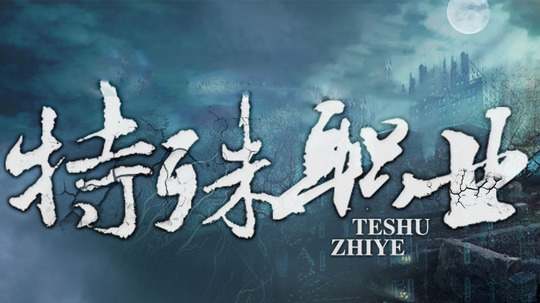 特殊职业（2014年电视剧）