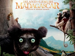 马达加斯加：狐猴之岛 摩根·弗里曼