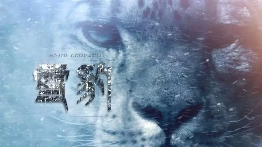 雪豹纪录片（2015年电视剧）