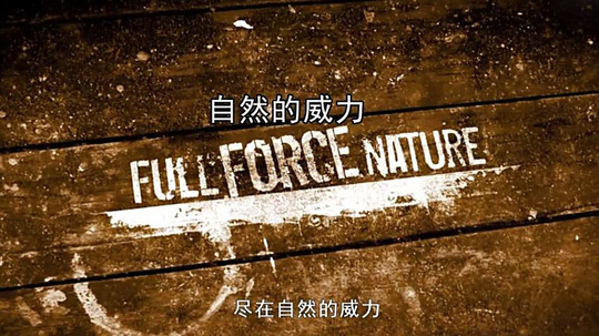 自然的威力（2013年电视剧）