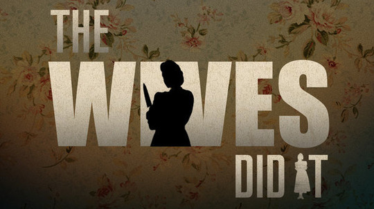 多妻要人命（2015年电视剧）