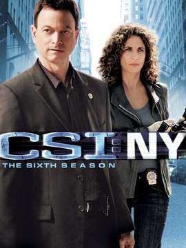 犯罪现场调查:纽约第四季