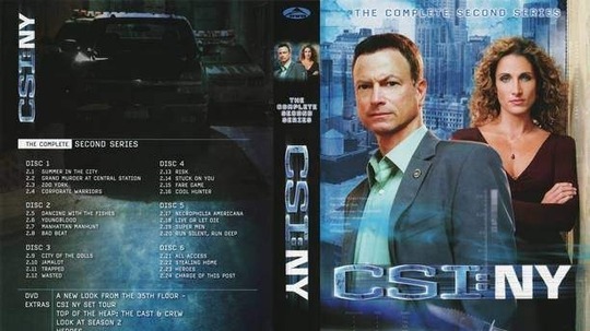 犯罪现场调查:纽约第四季（2007年电视剧）