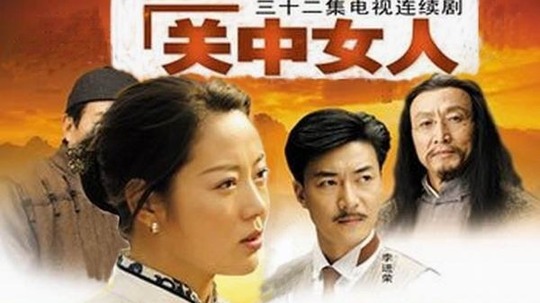 关中女人（2005年电视剧）