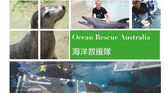 海洋救援队（2015年电视剧）