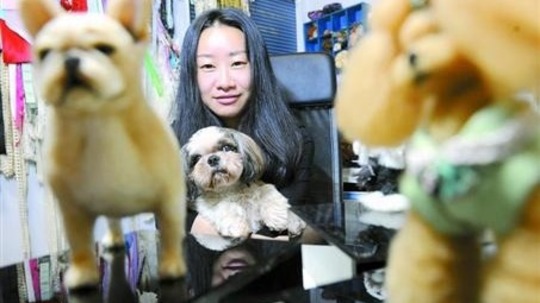 职业牵犬师（2015年电视剧）