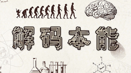 解码本能（2012年电视剧）
