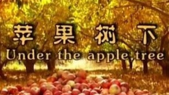 苹果树下（2016年电视剧）
