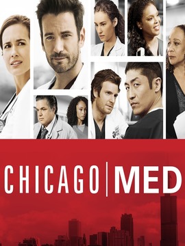 芝加哥医院第二季