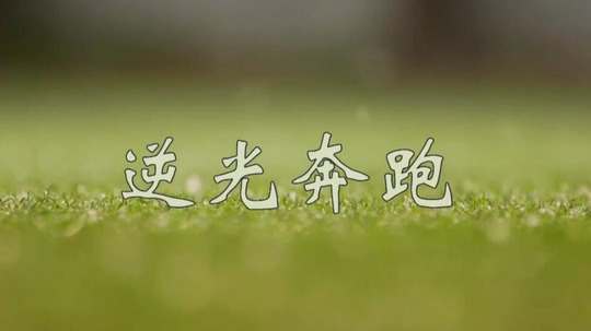 逆光奔跑（2015年电视剧）