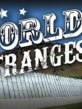 环球奇闻大搜索