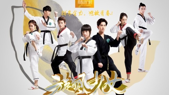 旋风少女（2015年电视剧）