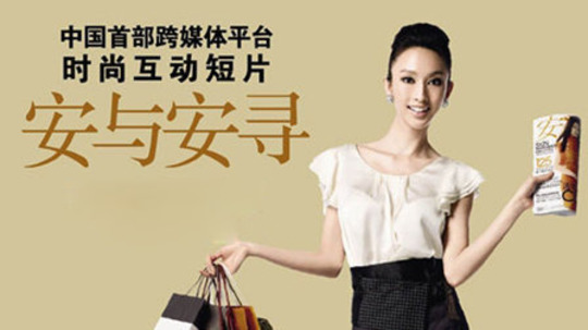 安与安寻（2009年电视剧）