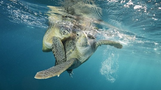 希望之海:美国海底之宝（2017年电视剧）