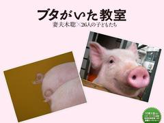 小猪教室 户田菜穗