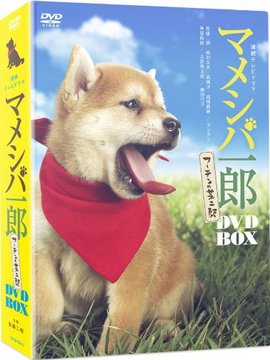 マメシバ一郎 フーテンの芝二郎