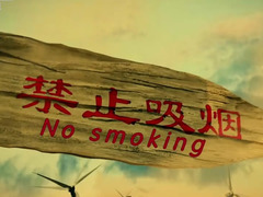 禁止吸烟 王双宝