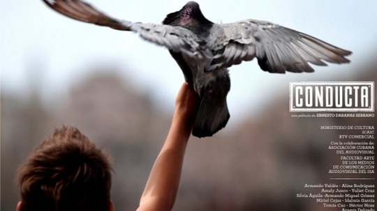 飞不起来的童年