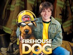 消防犬 布鲁斯·格林伍德