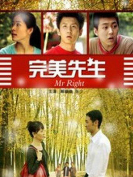 完美先生