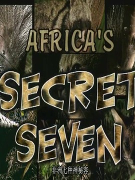 非洲七种神秘客