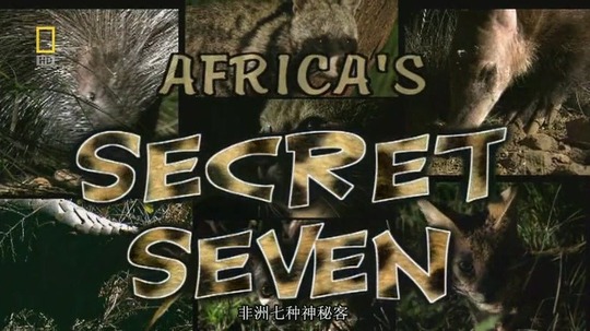 非洲七种神秘客